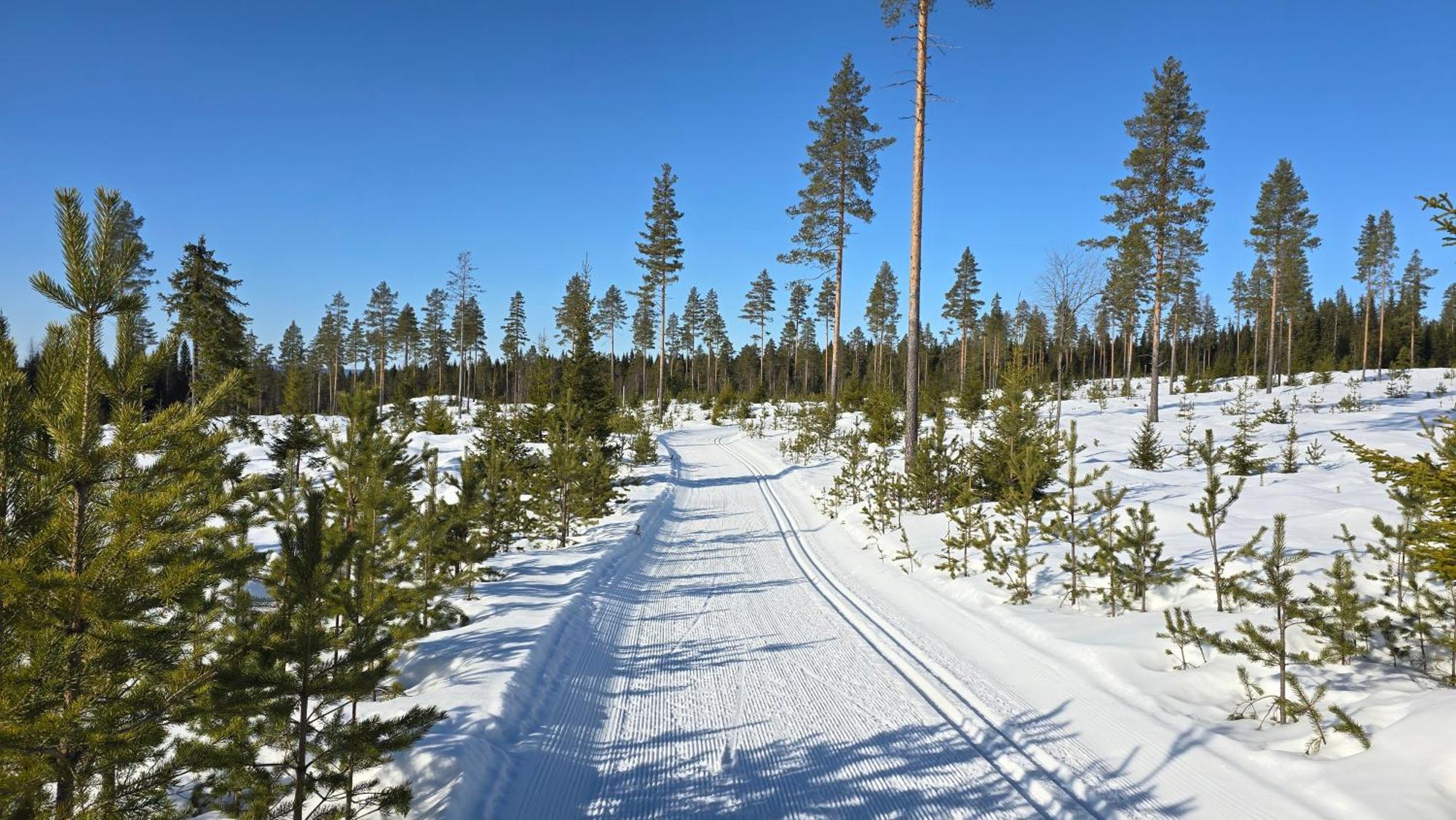 Fulufjellet Hotel Ljørdal Eksteriør billede